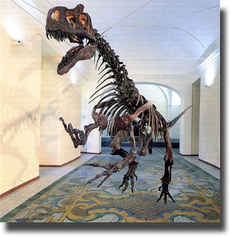 Il Museo di Paleontologia di Karamay: Una finestra sul passato e un viaggio fantastico tra dinosauri giganti!